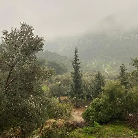 Five Senses Glamping * Bodrum